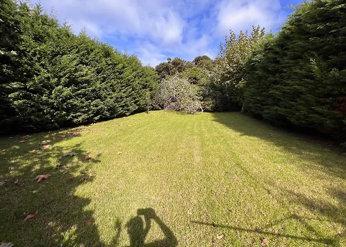 Casa Dos Biscoitos Praia da Vitória